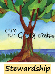 Stewardship and Care for Creation